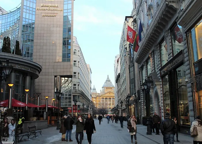 Comebackpackers Ostello *