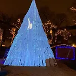컴백팩커스